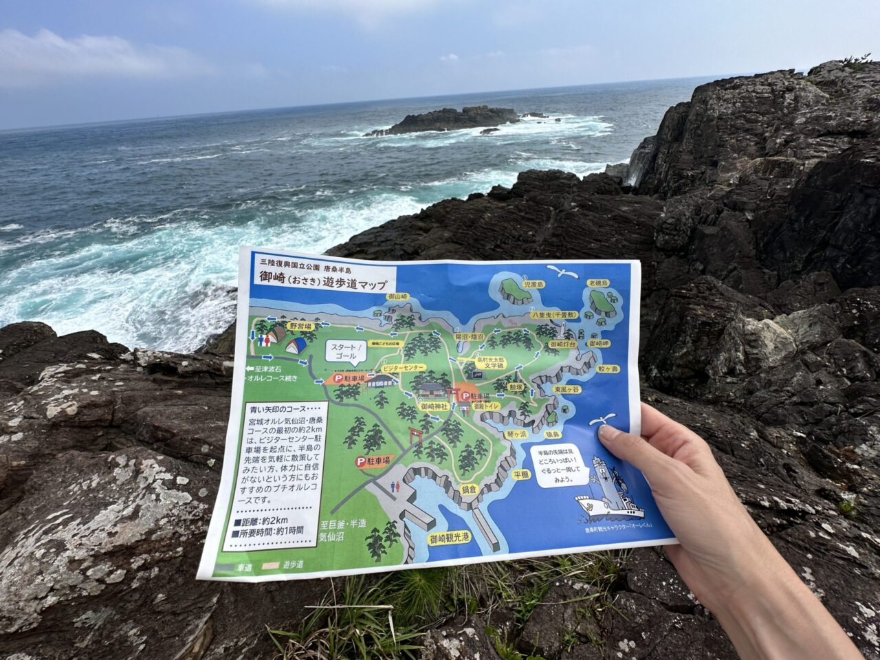 御崎遊歩道からの海の眺め