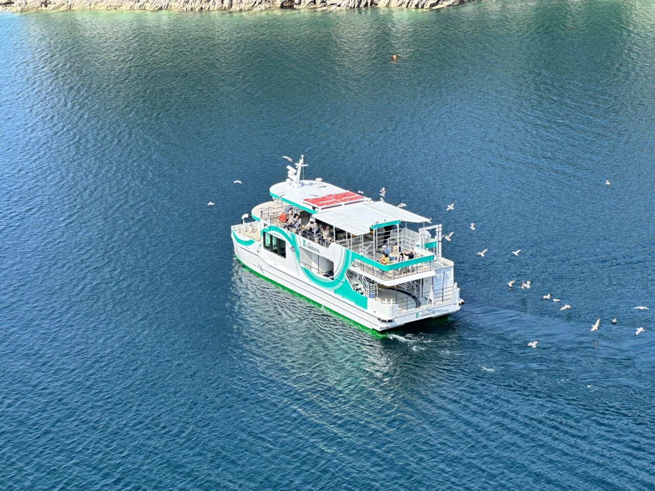 浄土ヶ浜のうみねこ丸